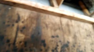 Обзор хозяйства. Кролики миксы. Родила крольчиха с породой хиколь от шиншилы