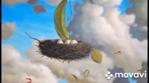 АукцЫон птица