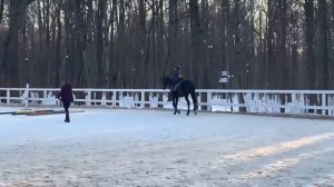 Riding Horses in Moscow (They Tried to Kick Us Out?)