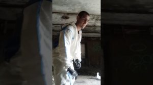 уничтожение ос и шершней