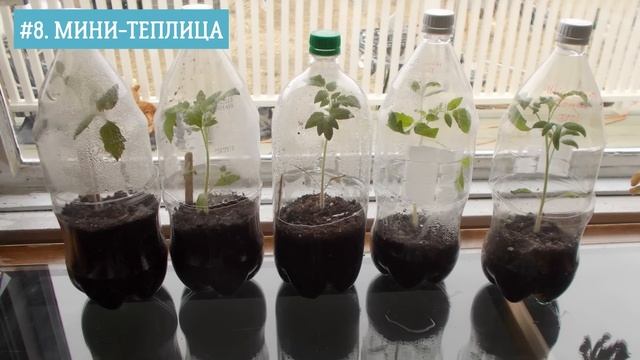 17 Гениальных Способов Использования Пластиковых Бутылок смотреть онлайн