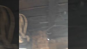 Обзор печи для варки каши.или чем я кормлю свиней