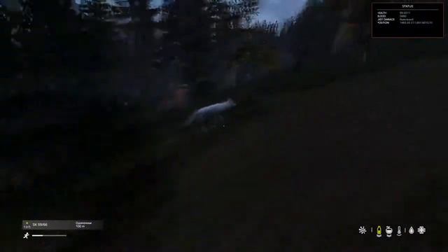 НАПАЛИ ВОЛКИ В DayZ ДИКИЙ УГАР смотреть онлайн