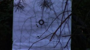 " Сайга 12к исп 030 " - тактический дробовик выживальщика от концерна Калашников.Выживание. Тест №6