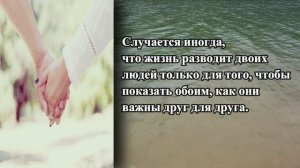 Лучшие Цитаты И Афоризмы Про Отношения. Афоризмы Про Любовь. Мудрые Высказывания.