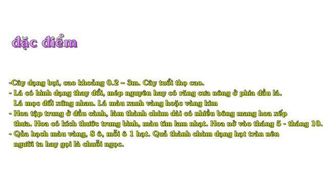 Cây Chuỗi Ngọc смотреть онлайн