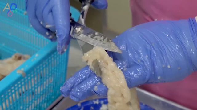 Фабрика So Clean Cow Intestine Food Factory. Удивительное массовое производство продуктов питания