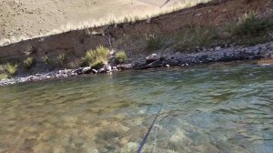 РЫБАЛКА С НОЧЁВКОЙ! ЛОВИМ ФОРЕЛЬ НА ВОБЛЕРЫ И БЛЕСНА В ГОРНОЙ РЕКЕ.