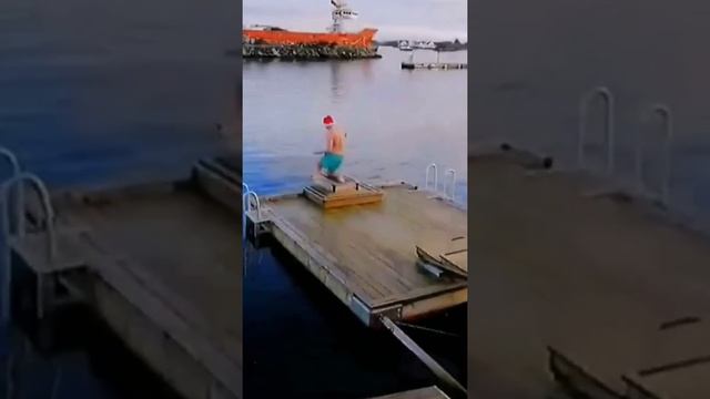 Приколы про животных ? Юмор и позитив до слез #8 смотреть онлайн