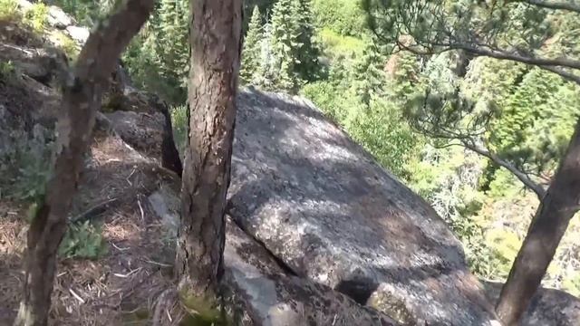 РЕПОРТАЖ ИЗ АЛГОНКИН ПАРКА В ОНТАРИО