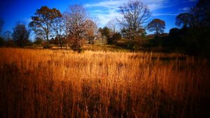 Теннесси . Природа . Осень. ( 1 часть)Tennessee.