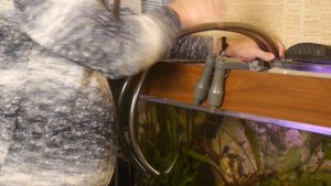 Установка фильтра для воды в аквариум