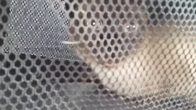 Укачивает в машине смотреть онлайн