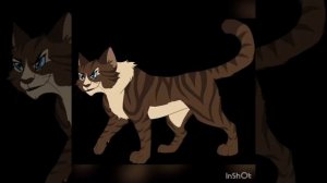 Коты воители; 11 самых злых и жестоких котов в книгах Коты воители