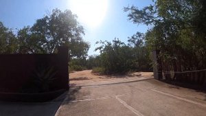 Cафари в ЮАР, Kruger National Park