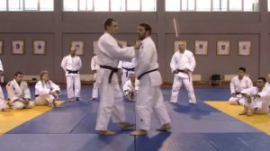 Видео 10: Евгений Кулдин - Работа ногами - АШИ-ВАЗА