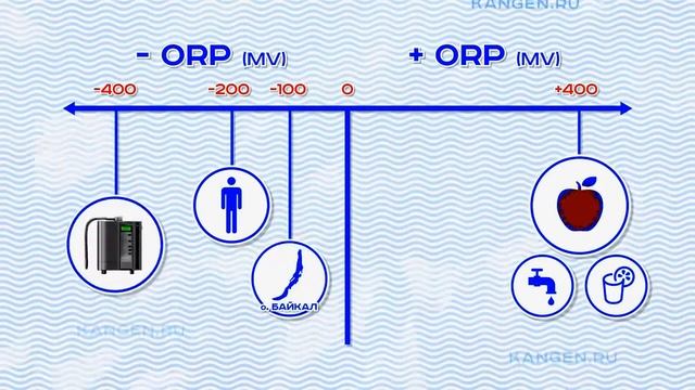Щелочная вода. Щелочная вода нового поколения! Как правильно пить воду.