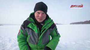 Зимний поплавок на течении.  Густера. Ловля мирных рыб.