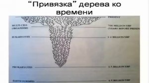 ? Северинов К. Сколько раз возникала жизнь на нашей Земле? Video ReMastered.