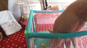 день с двумя мини реборнами/ собираемся на прогулку