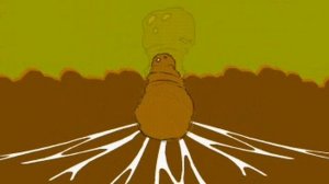 ЖИЗНЕННЫЙ ЦИКЛ ГРИБОВ