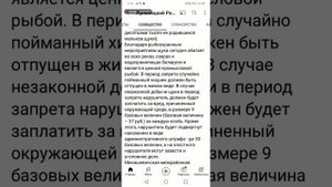 Запрет на лов щуки в Беларуси. И ещё два действующих запрета.