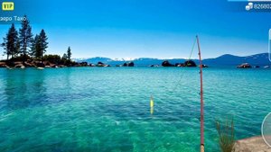 | My Fishing World | ФАРМ для подписчиков | Зеркальный Карп |