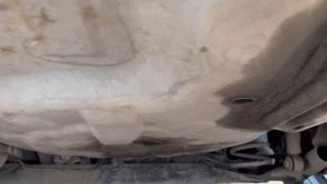 Перегон Владивосток-Южа. Часть третья. Октябрь 2022.