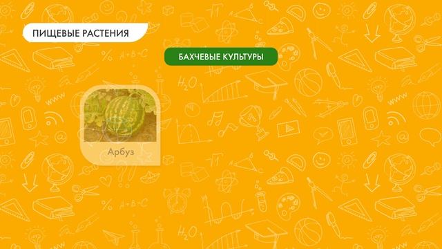 Дикорастущие и культурные растения