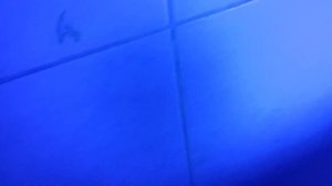 Светодиодная ультрафиолетовая бактерицидная лампа - тест