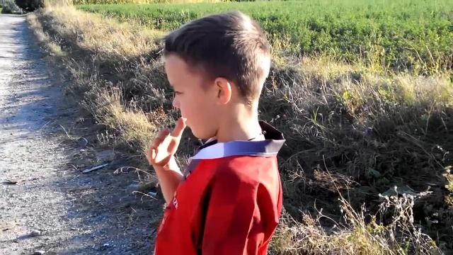 Скутер коляска_3