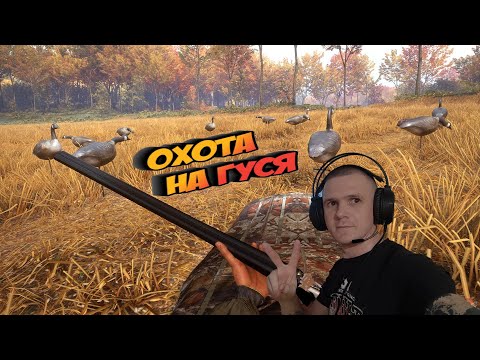 Охота НА ГУСЯ. Гусь прет налет за налетом.mp4