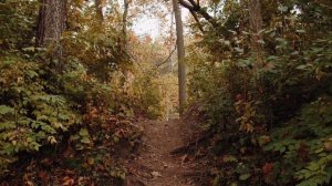 в магазине,игра ух ты,про жизнь