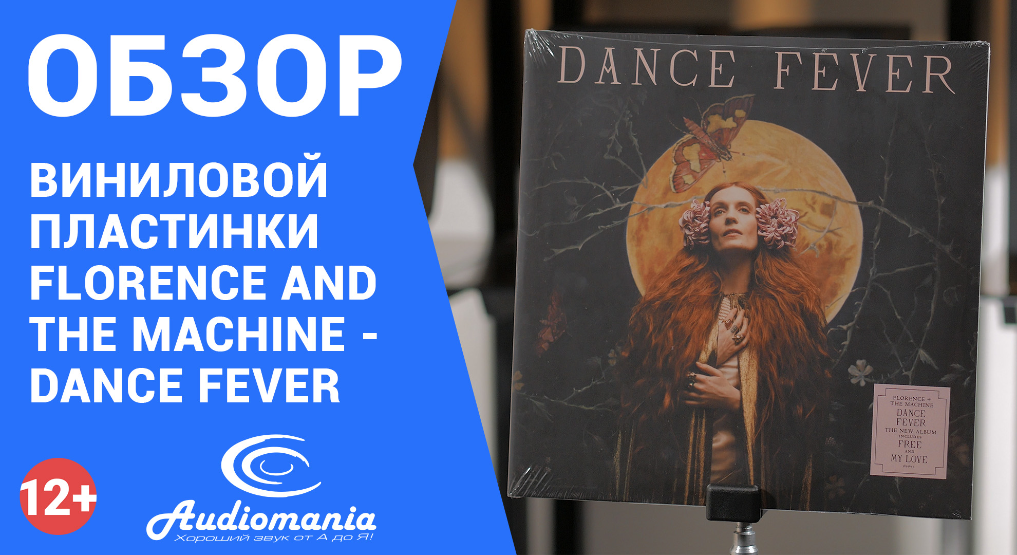 Танцевальная лихорадка вместе с Florence And The Machine. Обзор пластинки Dance Fever смотреть онлайн