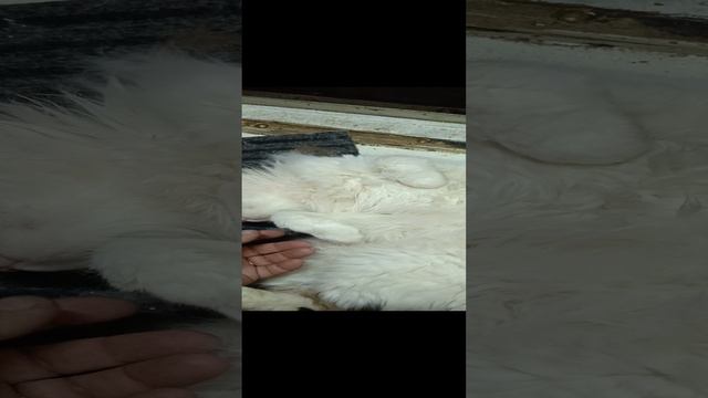 МАРТИ БАЛДЮ