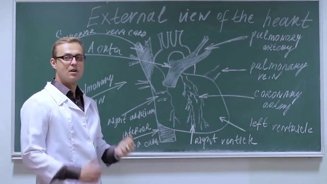 Best Career options After 12th For Biology Students – [Hindi] – Quick Support