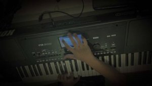 Улетают птицы в тёплые края - музыка Геннадия Юрьева Korg Pa 300