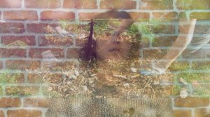 Мульча. Что это? Зачем?