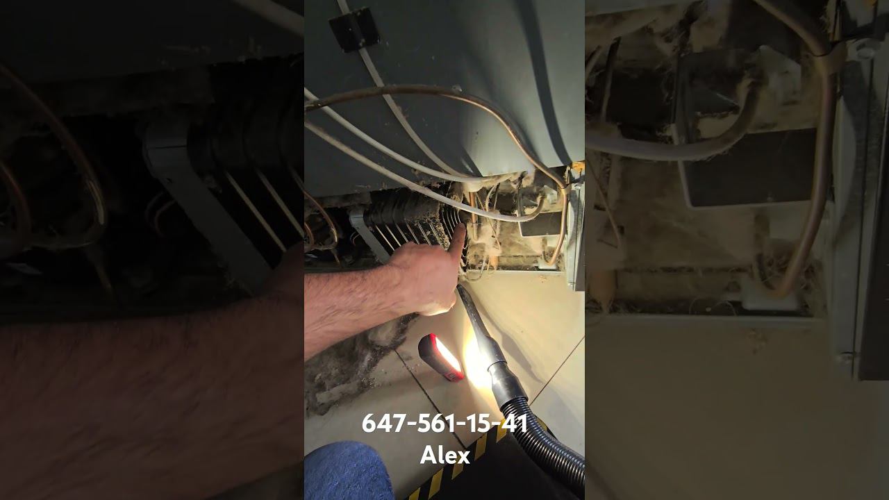 Холодильник + домашние животные = чистка смотреть онлайн