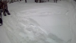 В ДЕБРЯХ ТАЙГИ! ДОСТАВКА Снегоходом ТАЙГА, по БЕЗДОРОЖЬЮ!