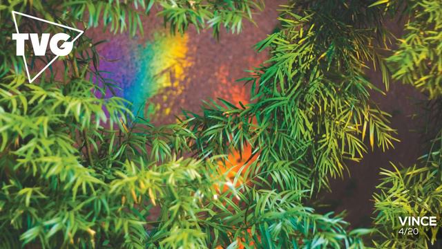 Vince - 4/20 смотреть онлайн