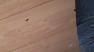 Ферментация табака 1. Табачная плантация 2015 год.