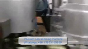 Vacuum can seaming machine