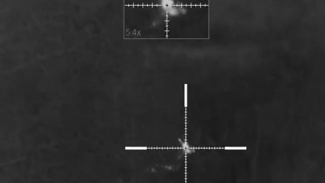 Охота на косулю с 22lr.  22lr. Roe deer hunting.