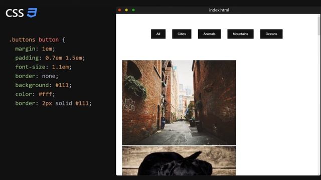 Javascript Filter Gallery With Smooth Animations | Quick Tutorial