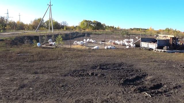 ВОТ ПОЧЕМУ ЩЁЛКАЛ РЕДУКТОР, ПРИЧИНА НАЙДЕНА смотреть онлайн