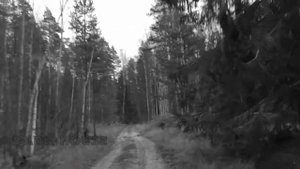 Страшная гроза - хоррор / Terrible thunderstorm - horror