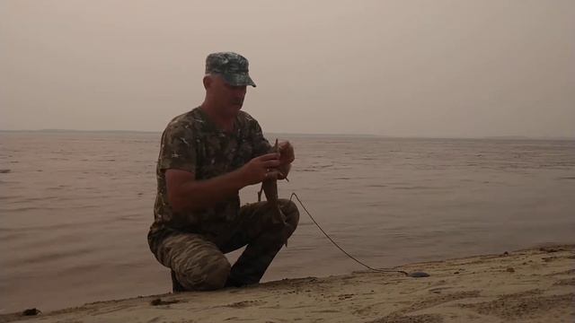 р.Лена дым июль 2020 г. смотреть онлайн