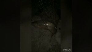 Рыбалка в Ингушетия 26.04.2018