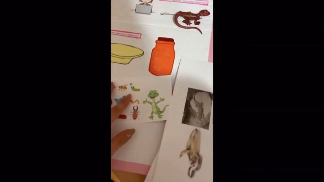 Внеурочное занятие по естествознанию во 2 классе. Научное исследование: Какого вида ящерица? смотреть онлайн